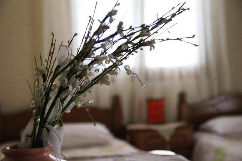 Stis Kyra - Vasilikis Appartement Ioannina Buitenkant foto